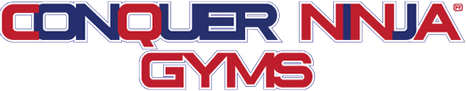 Conquer Ninja Gyms
